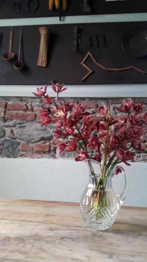 Langhe Di Liguria B&B 피아나 크릭시아 외부 사진